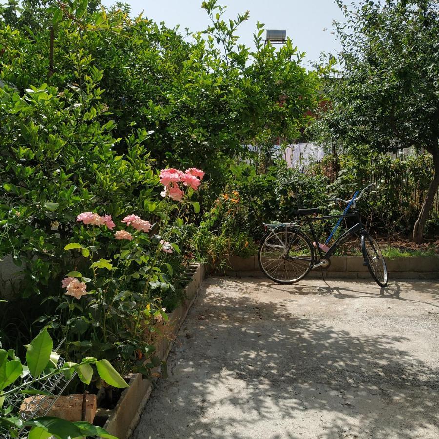 Spacious House With A Big Garden And Fire Pit Villa Tiranë Ngoại thất bức ảnh